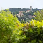 Casa Sara And Sasha Near Motovun With Private Pool - Pet Friendly Truffle Paradise ヴィラ *